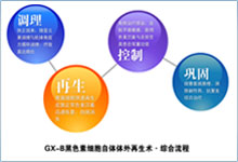 GX-B��ɫ��ϸ���������������� ��Ч�漣