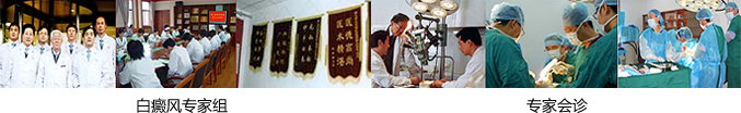 专家